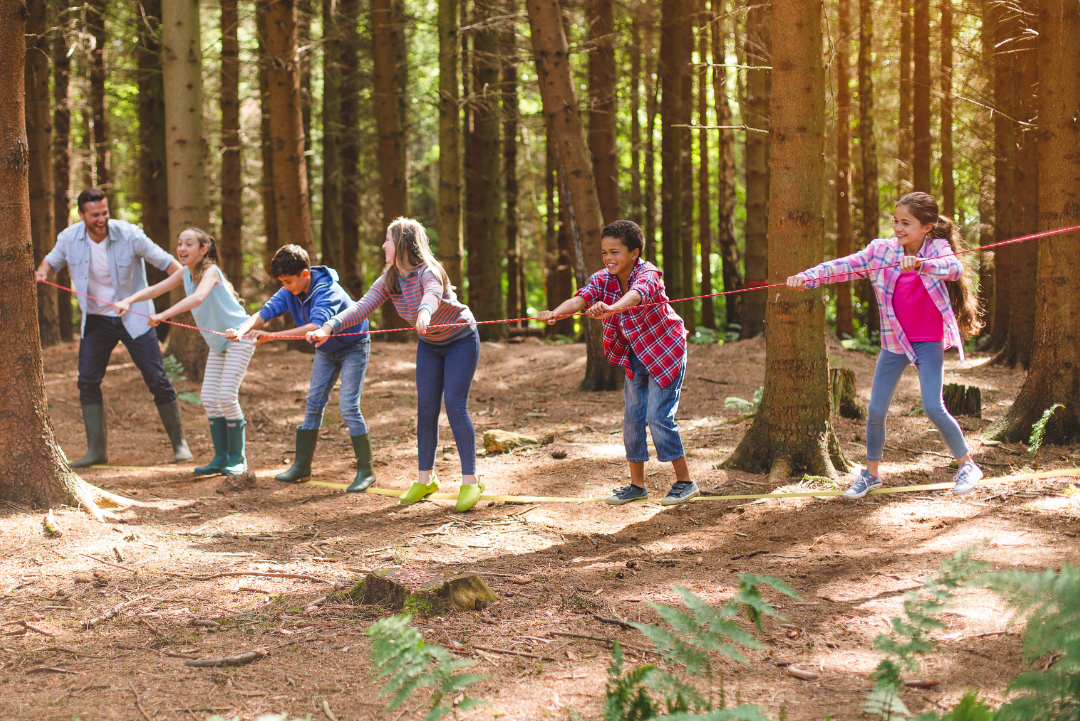 Sports and Summer Camps