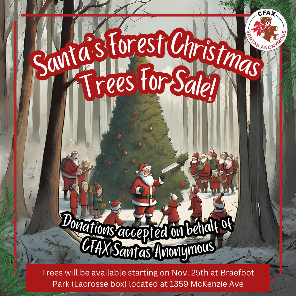Santa's Forest Christmas Trees For Sale!